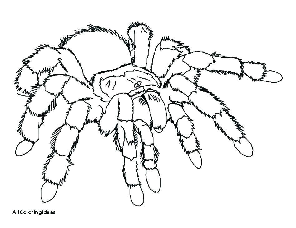 948x733 Free Spider Coloring Pages Spider Coloring Pages Iron Spider