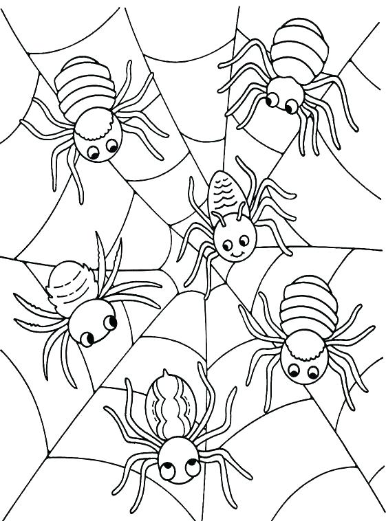 561x758 Itsy Bitsy Spider Coloring Page B Spider Coloring Pages B Spider