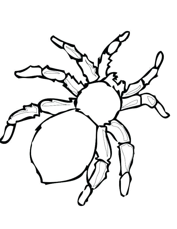 615x796 Spider Coloring Pages Spider Coloring Pages Black Widow Spider
