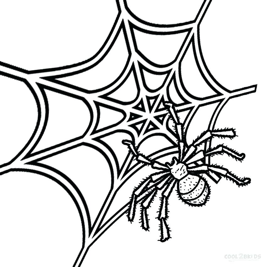 850x850 Spider Web Coloring Page Free Spider Web Coloring Pages Funnel Web