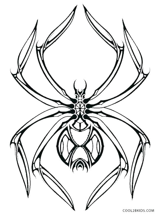 629x850 Free Spider Coloring Pages