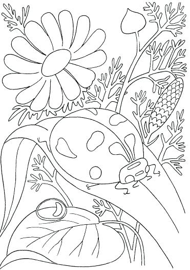 371x525 Free Printable Spring Coloring Sheets Printable Complicated