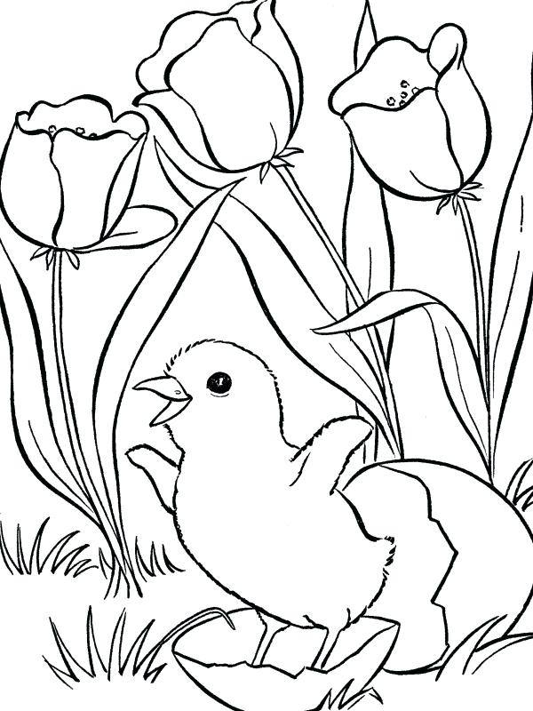 600x800 Free Printable Spring Colouring Sheets Free Spring Color Sheets