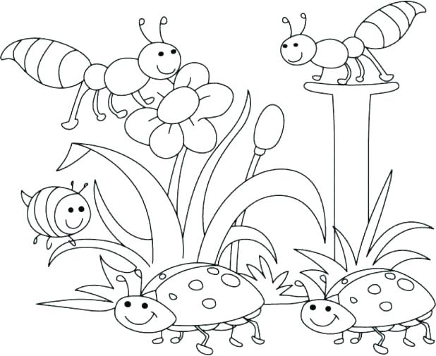 618x505 Free Spring Color Sheets Happy Grandparents Day Coloring Pages