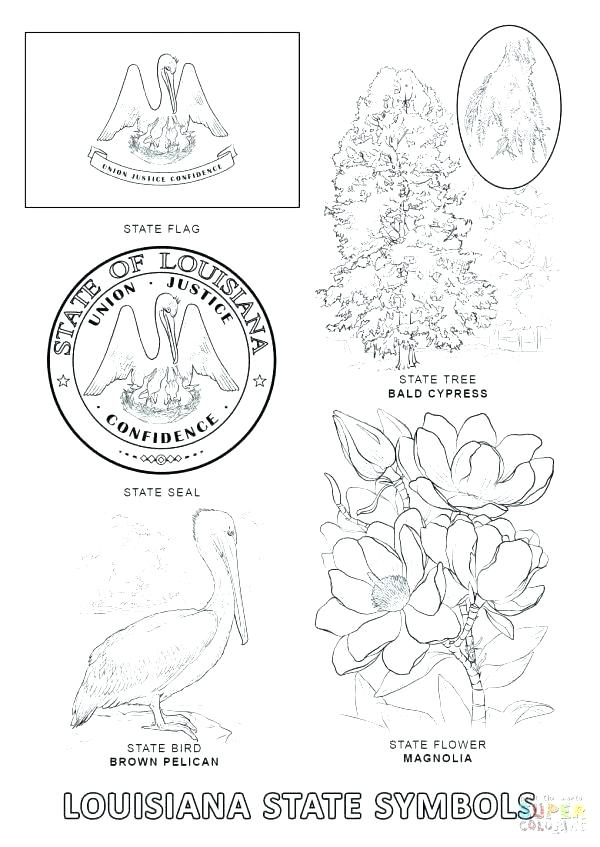600x847 States Coloring Pages State Coloring Pages Together With Cool