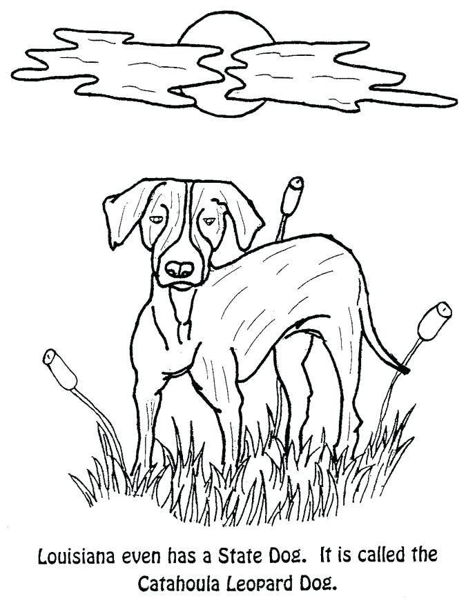 675x874 States Coloring Pages States Coloring Pages Coloring Page