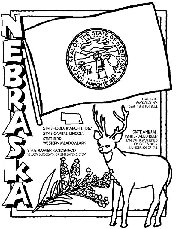 586x762 7 Best Nebraska Images On 50 States, Coloring