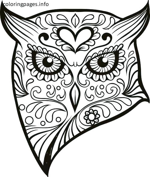 500x592 Coloring Pages Skulls Coloring Pages Sugar Skulls Animal Sugar