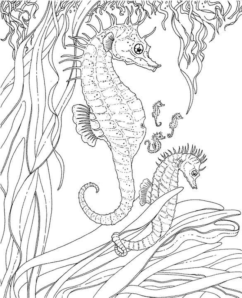 780x960 Free Printable Summer Coloring Pages For Adults