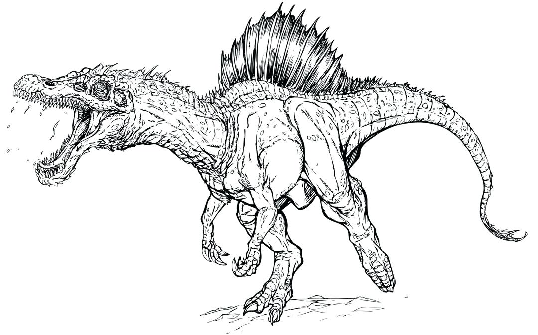 1080x674 Trex Coloring Pages Coloring Page Free T Rex Dinosaur Coloring