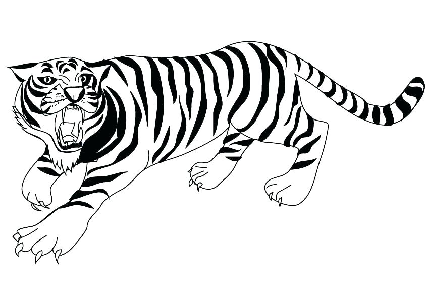 842x595 Tiger Coloring Pages Free Tiger Coloring Pages For Adults