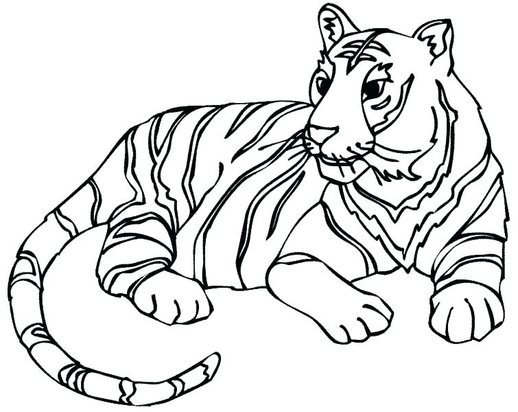 755x600 Coloring Pages Of Tigers Printable Tiger Coloring Pages Tigers