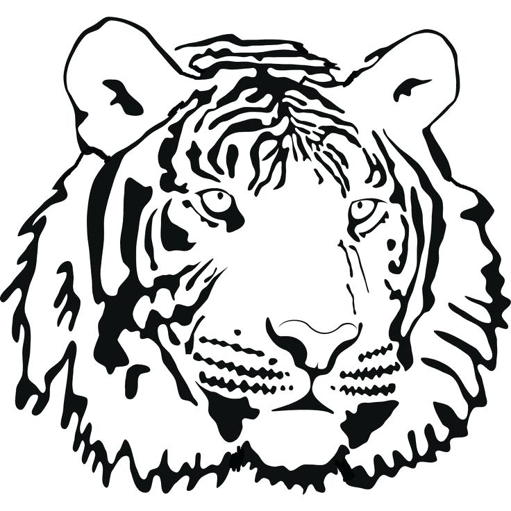 736x736 Tigers Coloring Pages Tigers Coloring Pages Free Tiger Coloring
