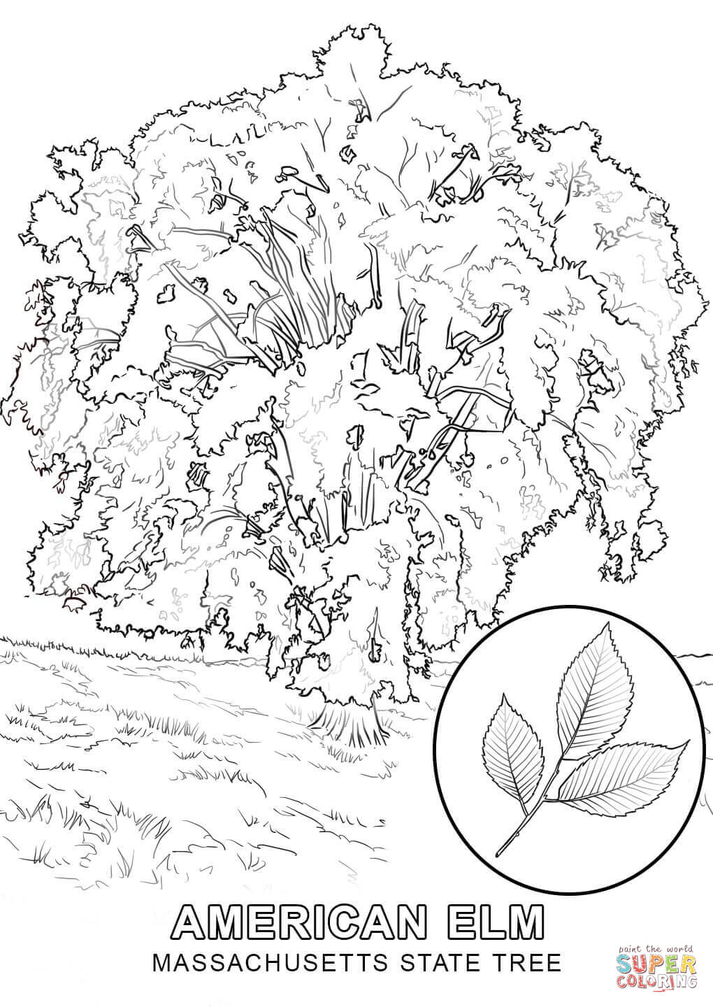 1020x1440 Coloring Pages Draw A Tree Coloring Pages