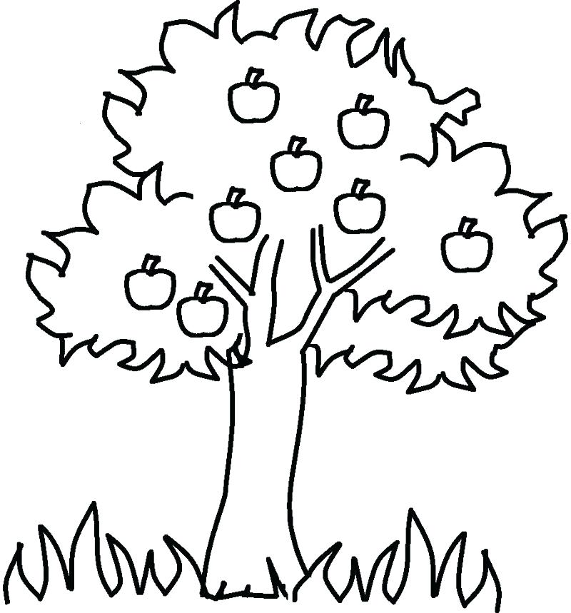 800x859 Free Coloring Pages Christmas Tree Coloring Pages Trees Coloring
