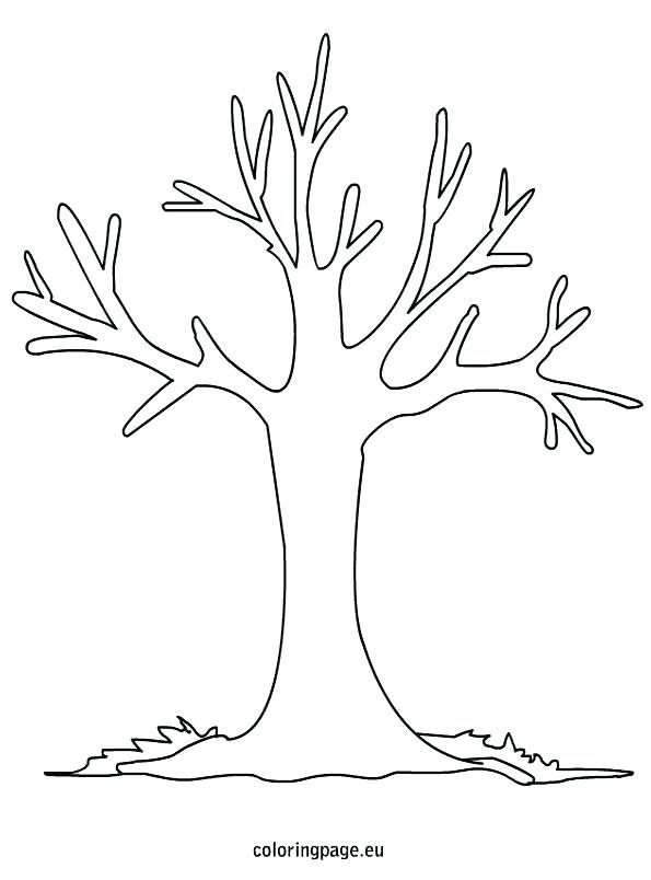 595x804 Free Printable Fall Tree Coloring Pages Fall Trees Coloring Pages