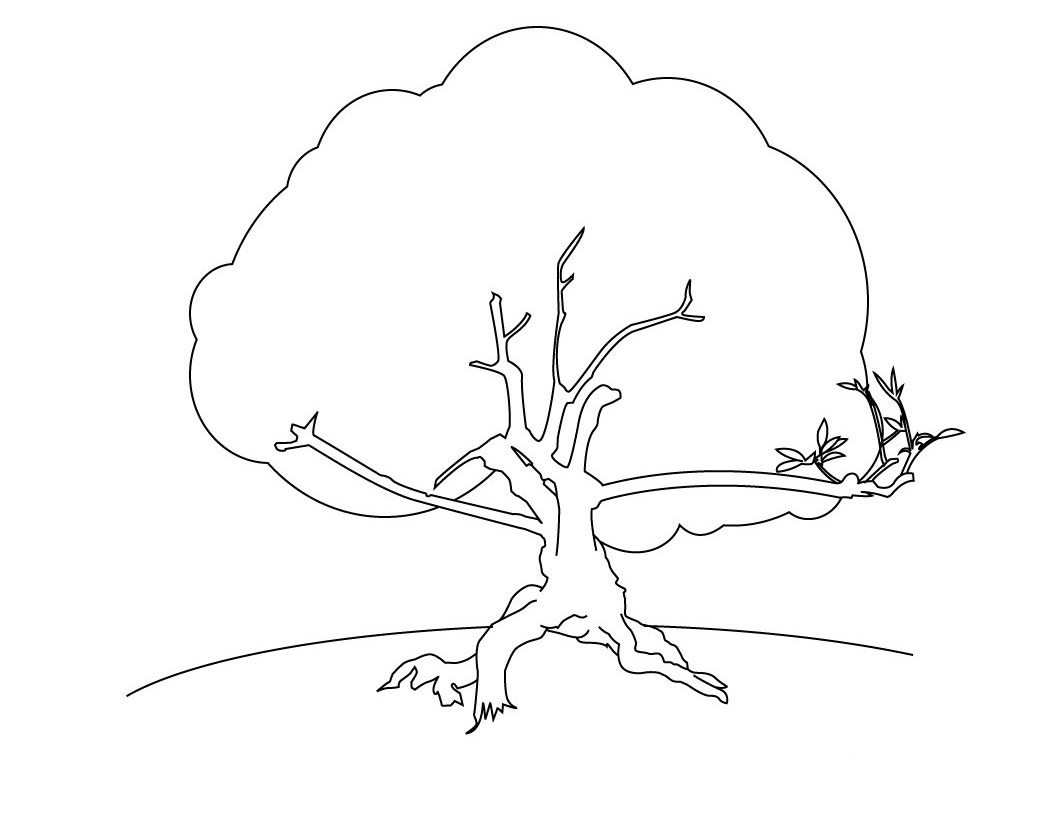 1060x820 Free Printable Tree Coloring Pages