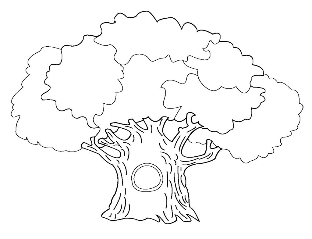 1024x784 Sampler Tree Pictures For Colouring Coloring P