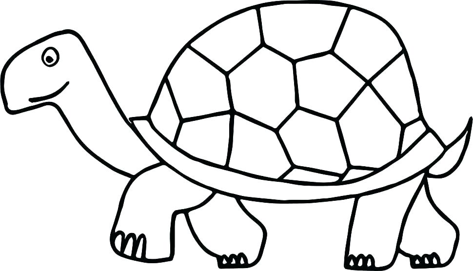 970x556 Turtle Coloring Pages Ninja Turtles Coloring Page To Print Color