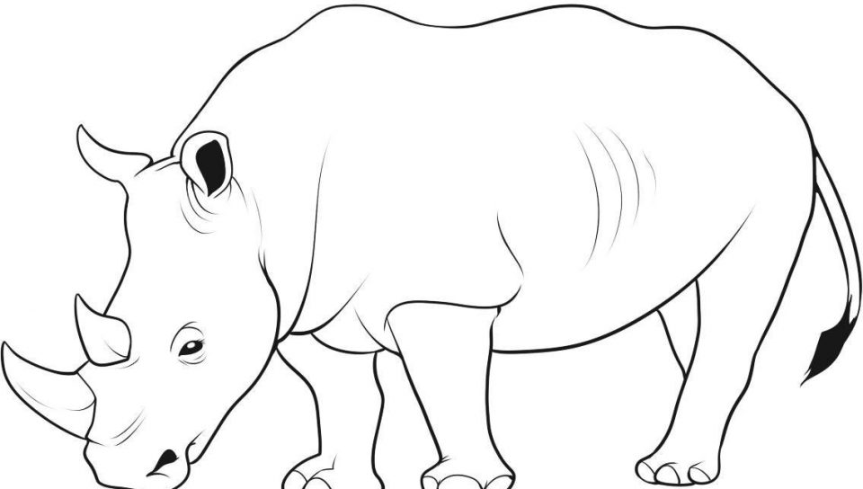 960x544 Animal Coloring Sheets Preschool In Good Page Paint Wild Animals