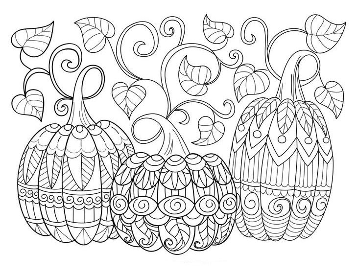 729x564 Pumpkins Zentangle Coloring Page Clip Art Adult