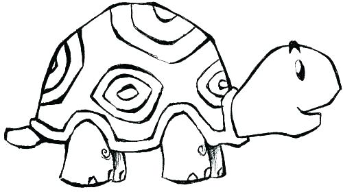 500x280 Printable Coloring Pages Animals Zoo Animal Coloring Sheets