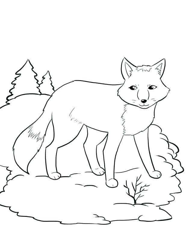 618x800 Zoo Pictures To Color Full Size Of Zoo Animals Free Coloring Pages