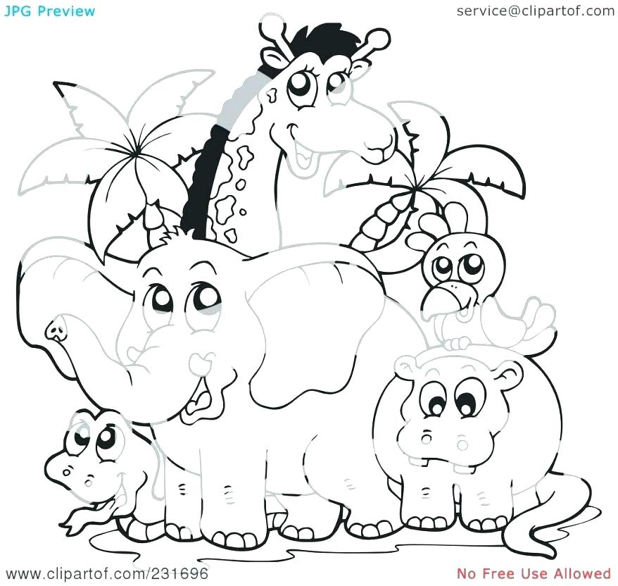 878x832 Cool Animal Coloring Pages Printable Zoo Animal Coloring Pages