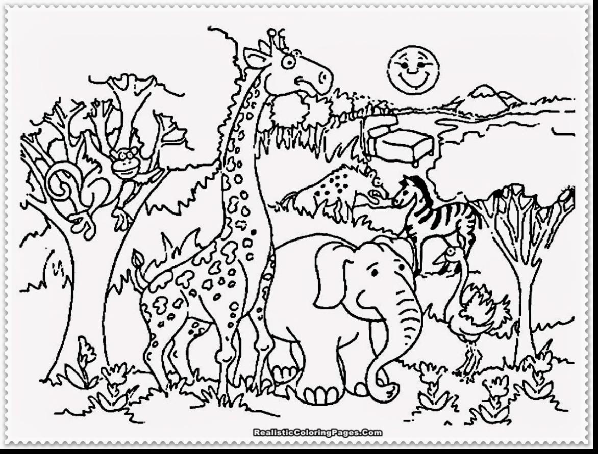 1172x891 Letter Z Is For Zoo Coloring Page Free Printable Pages