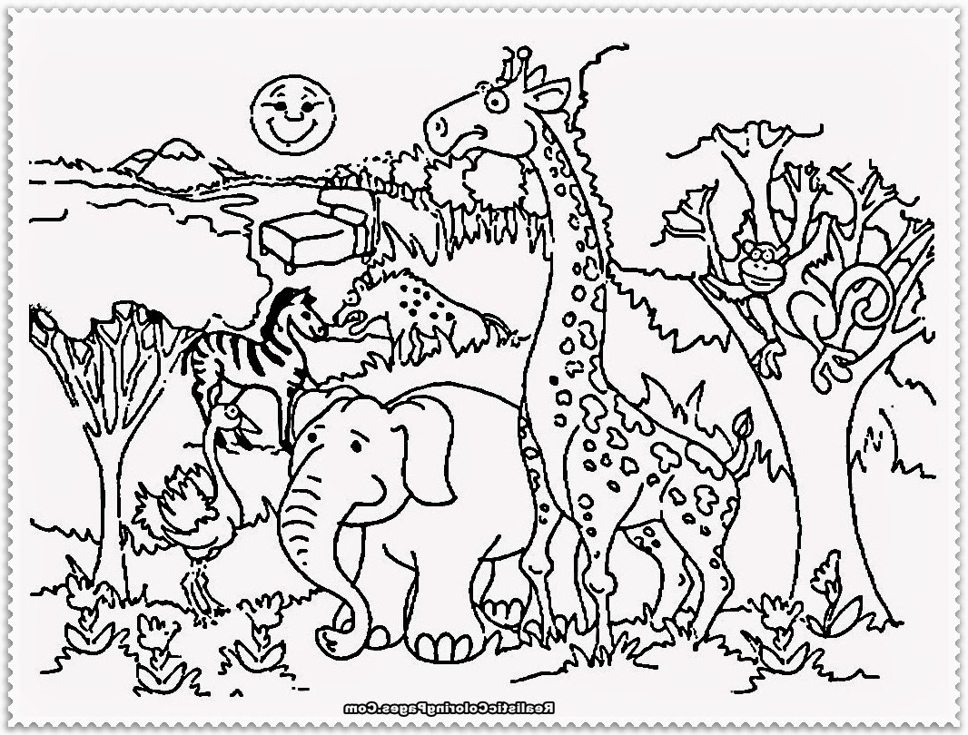 1066x810 Zoo Animals Coloring Pages For Toddlers Best Of Put Me In The Zoo