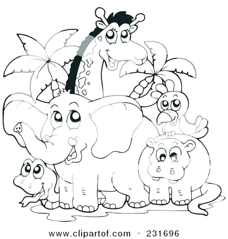 728x761 Zoo Animals Coloring Pages Free Printable Pictures Chameleon