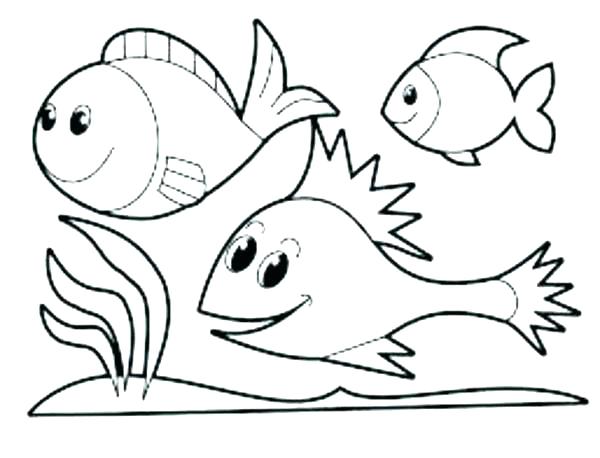 600x458 Zoo Coloring Pages For Preschoolers Page Image Images Animals