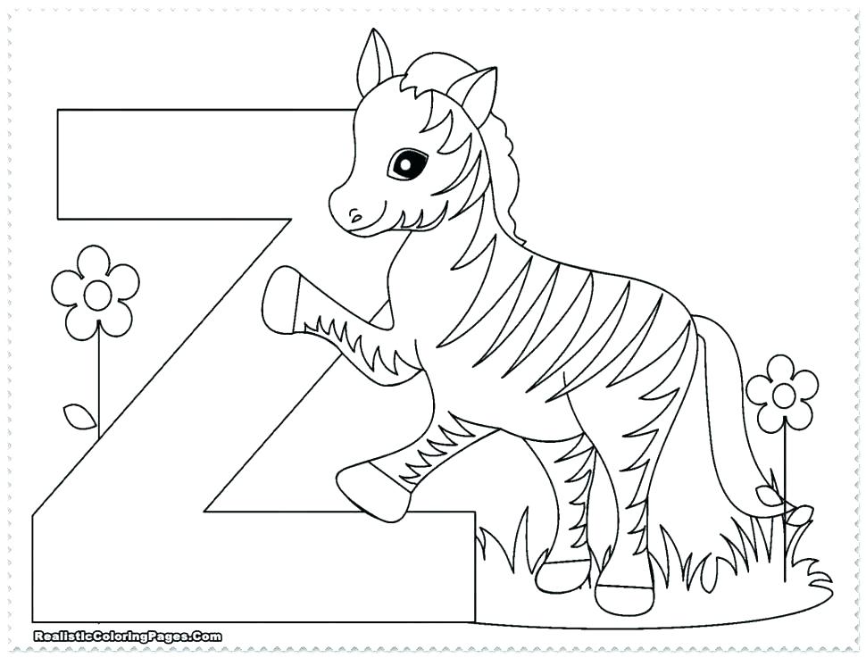 970x737 Zoo Coloring Pages Kids Printable Zoo Coloring Pages Free Zoo