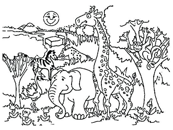 550x414 Zoo Pictures To Color Zoo Coloring Pages Free Zoo Coloring Sheets