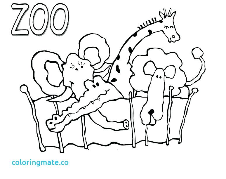 774x613 Coloring Pages Zoo Animals Crocodile Coloring Page Zoo Animals Zoo