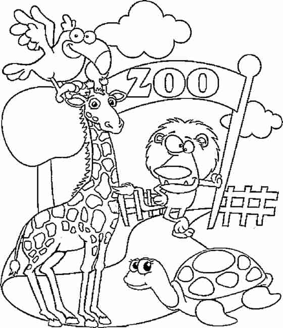 560x650 Free Printable Coloring Pages Zoo Animals Openwheel Org Kids