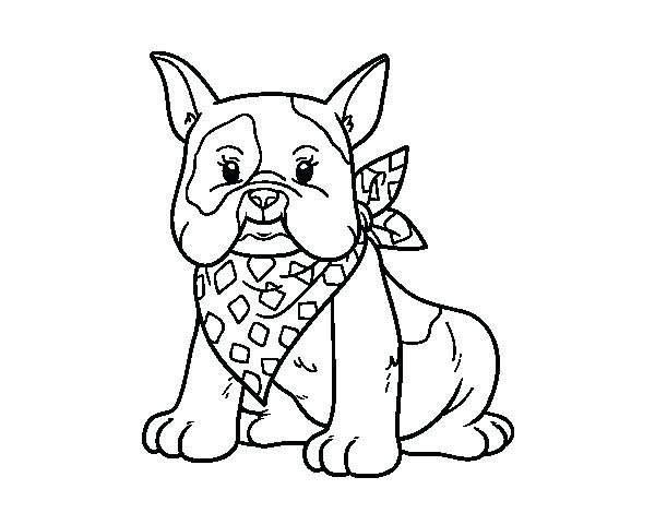 600x470 French Bulldog Coloring Page French Bulldog Georgia Bulldogs