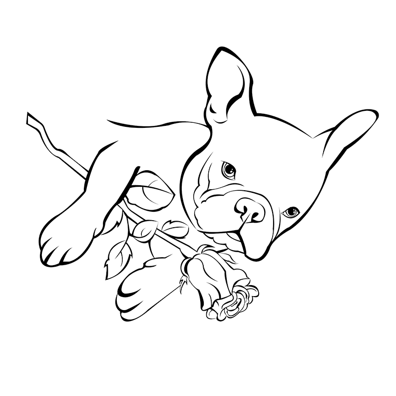 793x793 French Bulldog Rose Free Coloring Page Adults, Animals, Kids