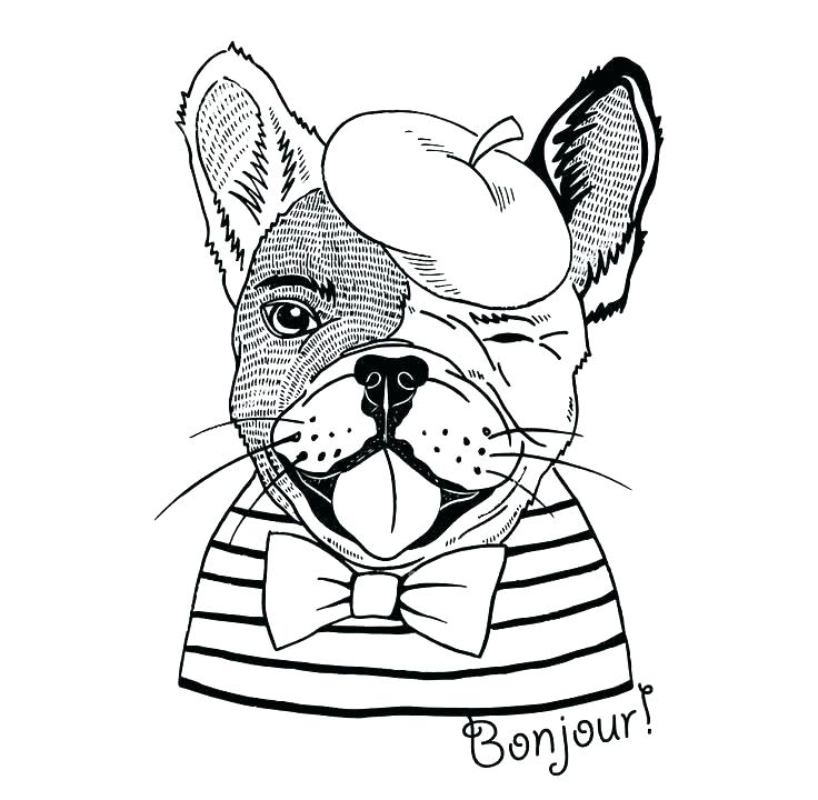 736x720 Georgia Bulldogs Coloring Pages Bulldog Coloring Pages French