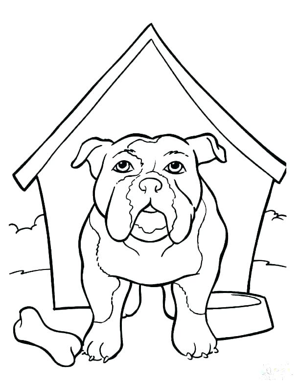 615x796 Bulldog Coloring Page French Bulldog Coloring Pages Bulldog