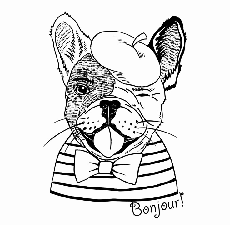 736x720 French Coloring Pages Beautiful 88 Best Animal Zentangle Coloring