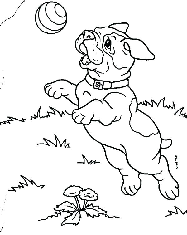 600x753 French Bulldog Coloring Pages French Bulldog Coloring Pages French