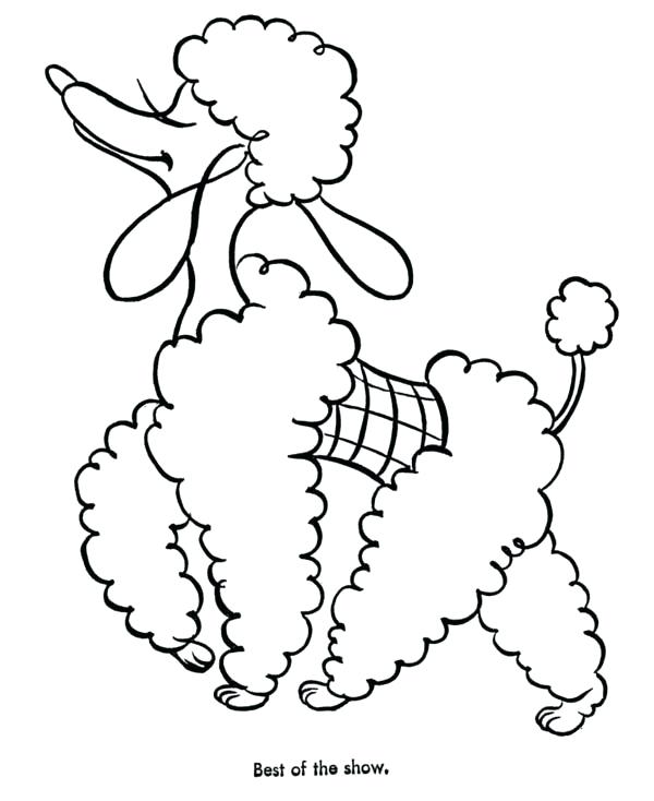 600x734 Poodle Coloring Page Kevmey Me 5 Free Pages 15251