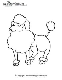 236x305 Printable Poodle Coloring Page. Free Pdf Download