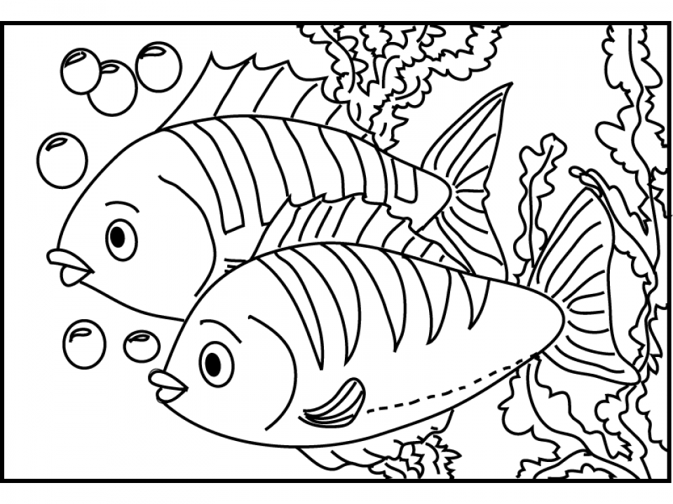 Freshwater Fish Coloring Pages