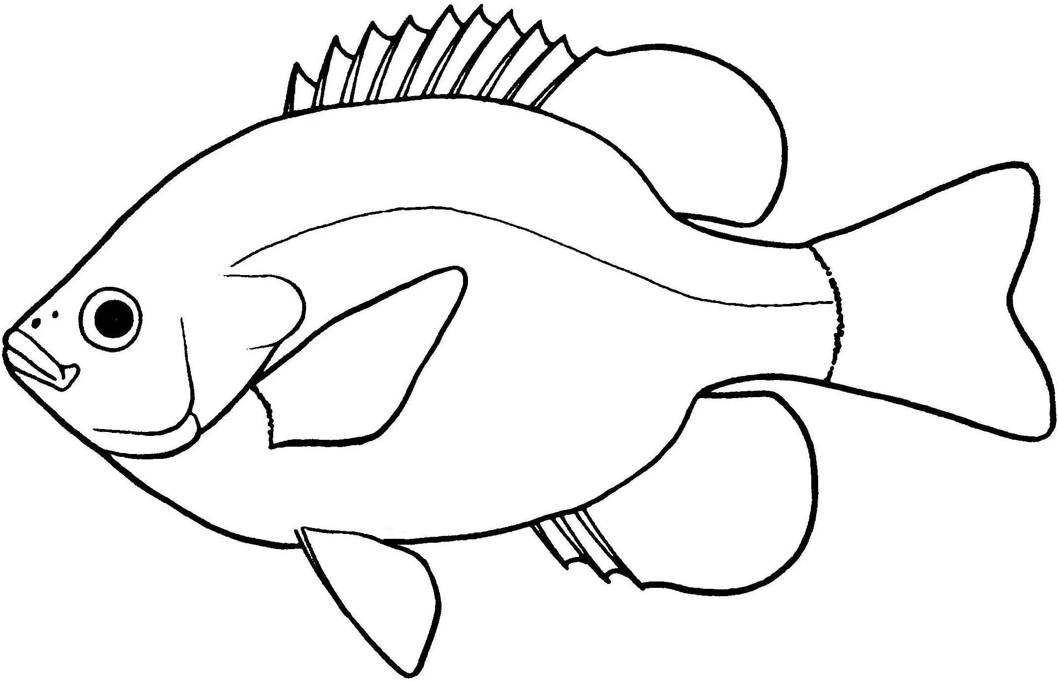 2157x1389 Fresh Coloring Freshwater Fish Coloring Pages