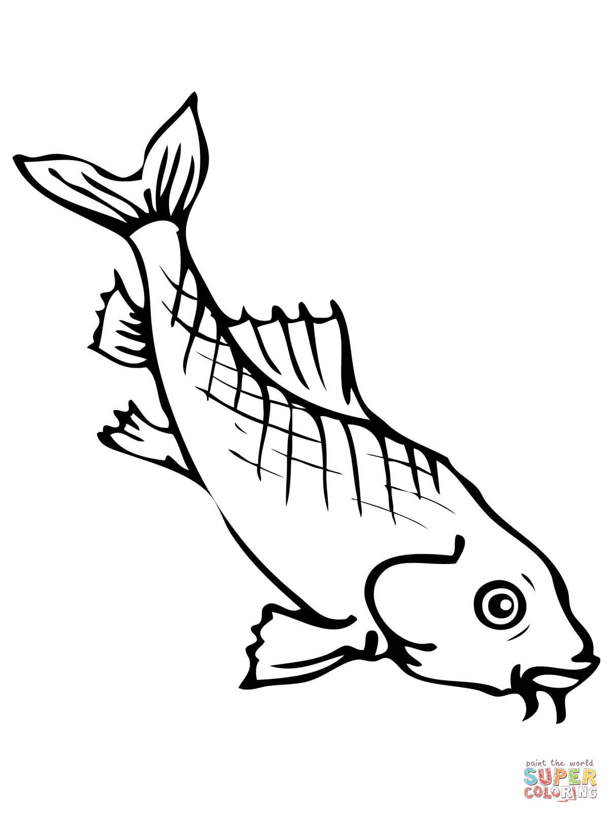 1200x1600 New Freshwater Fish Coloring Pages New Freshwater Carp Coloring