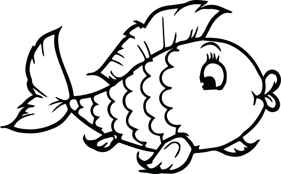 948x588 Angel Fish Coloring Page Queen Angelfish Drawing Freshwater Fish