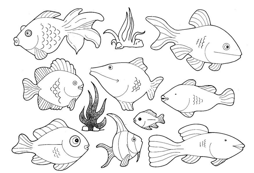 875x595 Fish Coloring Pages Pictures To Colour
