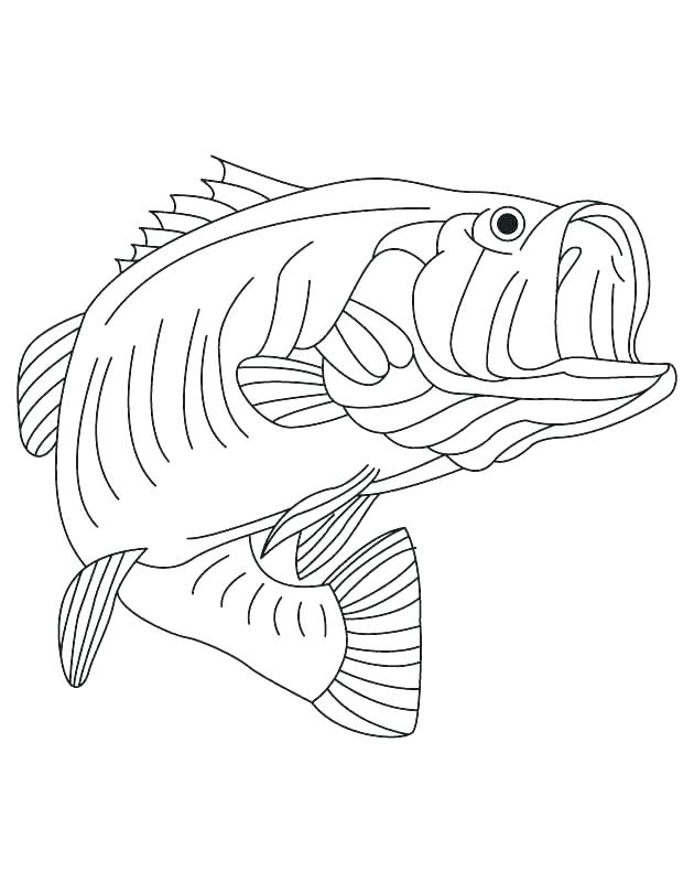 630x810 Coloring Pages And Coloring Books. Freshwater Fish Coloring Pages
